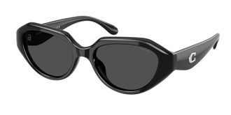 Coach HC8433U CBY77 500287 Womens Sunglasses Black Size 52