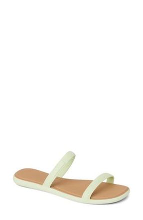 Reef Water Willow Marina Slide Sandal in Aloe Wash at Nordstrom Rack, Size 5