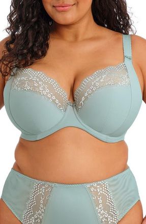 Elomi Lucie Full Figure Underwire Plunge Bra in Mist at Nordstrom, Size 32Hh
