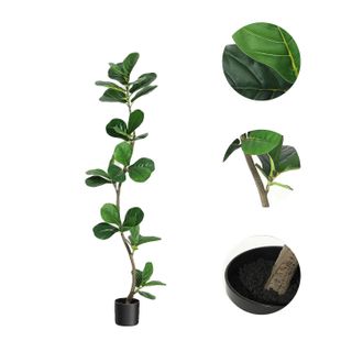 OEM Ficus Lyrata Artificial, Dise&ntilde;o Realista, F&aacute;cil Mantenimiento, 150 Cm