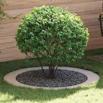 Berkfield Home Stainless Steel Planter Stainless Steel Large in Silver