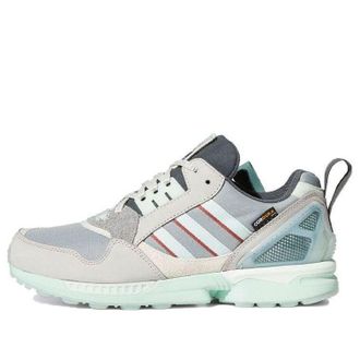 adidas National Park Foundation x ZX 9000 Glacier Park FY5172