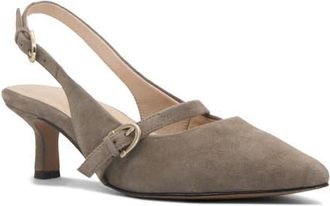 FRANKiE4 Coco Slingback Pointed Toe Kitten Heel Pump in Mushroom Suede at Nordstrom, Size 7.5