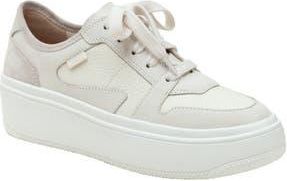 Linea Paolo Gains Platform Sneaker in Snow at Nordstrom Rack, Size 10