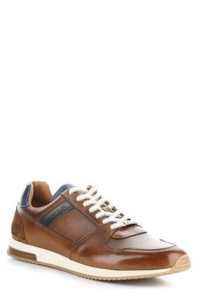 Ambitious 11240 Perforated Sneaker in Cognac Leather at Nordstrom Rack, Size 11.5Us / 45Eu