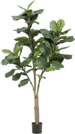 Baq Lebensechte Kunstpflanze Ficus Lyrata verzweigt, ø 80/ Höhe 180 cm