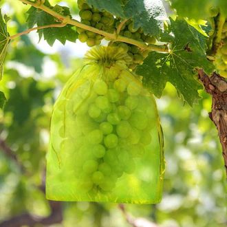 OEM Bolsas De Protecci&oacute;n Para Uvas De Malla Organza, 100 Unidades, 30x40 Cm, Con Cord&oacute;n, Resistentes A P&aacute;jaros E Insectos - Ulisem