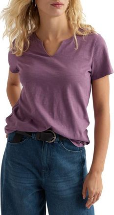 Seasalt Cornwall Kellow V-Neck Organic Cotton T-Shirt in Verbena at Nordstrom, Size 12