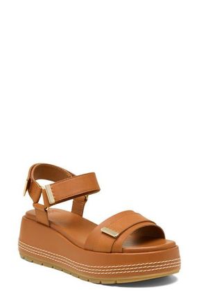 Sorel Sunpeak Ankle Strap Platform Sandal in Iced Tea/Gum at Nordstrom, Size 10.5