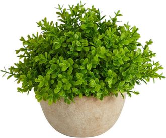 Nearly Natural 5-in Boxwood Artificial Plant in Decorative Planter in Green at Nordstrom