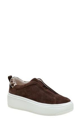 Linea Paolo Golde Platform Sneaker in Chocolate Brown/Brown at Nordstrom Rack, Size 8