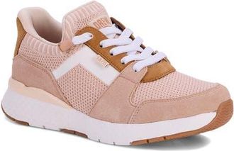 Drew Bobbie Lace-up Sneaker in Taupe Combo at Nordstrom, Size 6.5