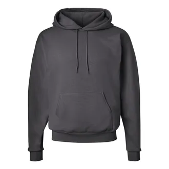 Hanes Ecosmart Hooded Sweatshirt