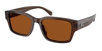 Coach HC8441U CBY96 591173 Mens Sunglasses Brown Size 55