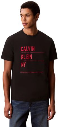 Calvin Klein Mens Short Sleeve Graphic T-Shirt with Logo, Black (Black), M