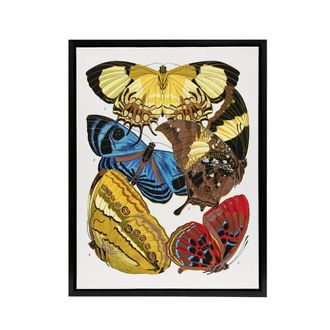 Artery8 Vintage Butterflies Yellow Red Blue Framed Canvas Wall Art Print Seguy | Size: W24 x H32