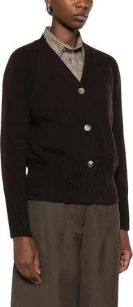 Aragona Truien & Vesten, Dames, Bruin, XS, Cashmere Truien