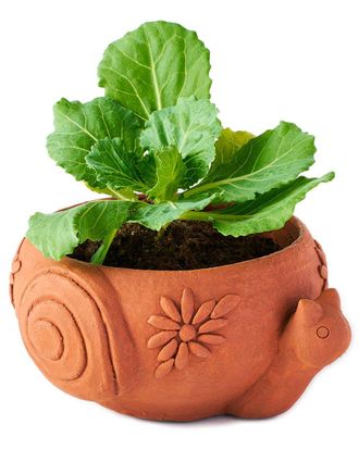 Matr Boomie Matr Boomie Rakshana Snail Plant Pot
