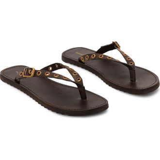 AllSaints Sydney Eyelet Flip Flop in Dark Brown at Nordstrom, Size 10Us