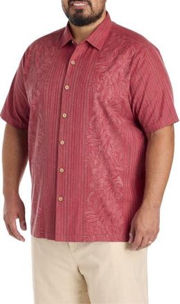 Tommy Bahama Big & Tall Maui Border Camp Shirt in Deep Havana at Nordstrom, Size 3X Big