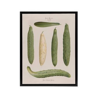 Artery8 Frame Cucumbers Kitchen Decor Ernst Benary Framed Canvas Wall Art in White | Size: W24 x H32