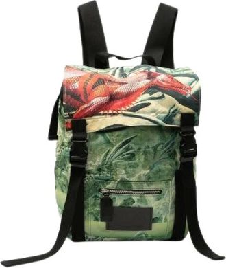 Valentino Pre-owned Backpacks, male, Multicolor, Size: ONE SIZE Pre-owned Dragon Print Nylon Leather Backpack