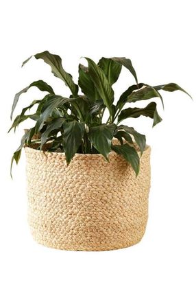 Indego Africa Braided Raffia Planter in Natural at Nordstrom