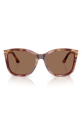 Emporio Armani 56mm Gradient Square Sunglasses in Shiny Havana Red/dark Brown at Nordstrom