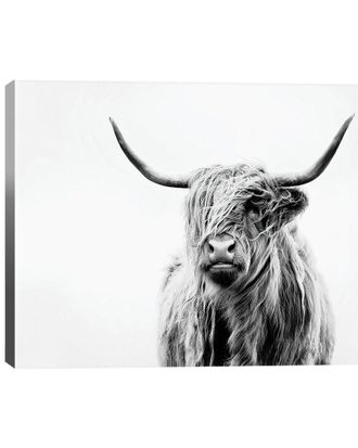 iCanvas Icanvas Portrait Of A Highland Cow Wall Art By Dorit Fuhg