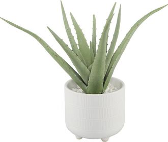 Flora Bunda 10In Aloe In 5In Barcode Footed Ceramic