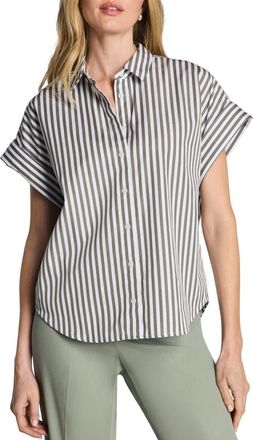Spanx Striped Oversized Supima Cotton Shirt in Frosted Moss/classic White at Nordstrom, Size 2X