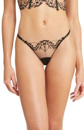 Bluebella Marisa Embroidered Mesh Thong in Black/sheer at Nordstrom, Size Large