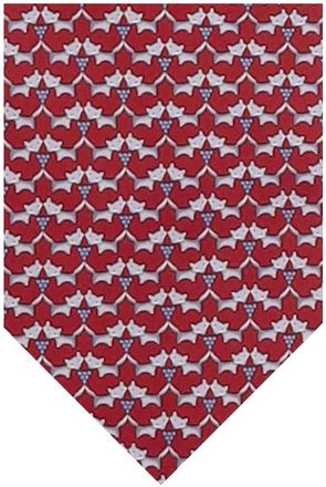 Ferragamo Red Graphic Tie
