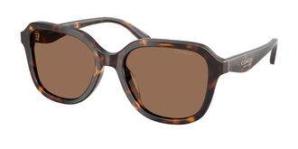 Coach HC8437F CBY89 Asian Fit 512073 Womens Sunglasses Tortoiseshell Size 56