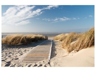 Schubiger M&ouml;bel Digitaldruck auf Acrylglas Holzweg Zum Meer 1