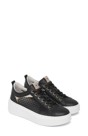 Nero Giardini Mesh Platform Sneaker in Black at Nordstrom, Size 10Us
