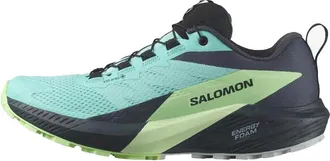 Salomon (WMNS)SALOMON Sense Ride 5 GTX Blue Radiance 472160