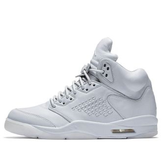 Nike Jordan Air Jordan 5 Retro Premium Pure Platinum 881432-003