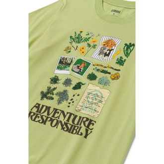 Parks Project Womens Forest Forager Relaxed Tee in Light Green at Nordstrom, Size Small