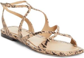 Jimmy Choo London Ayla Strappy Sandal in Chai at Nordstrom, Size 35.5