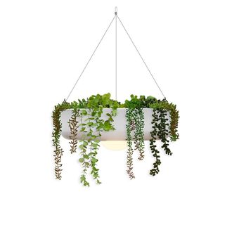 Licht-Trend Licht-trend - Elba L&aacute;mpara Colgante De 39 Cm Con Luz Led C&aacute;lida Y Bater&iacute;a Recargable. Fabricada En Espa&ntilde;a