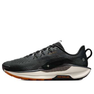 Nike Pegasus Trail 5 Black Pale Ivory DV3864-006