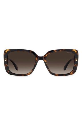 Polaroid 55mm Polarized Rectangular Sunglasses in Havana/Brown at Nordstrom
