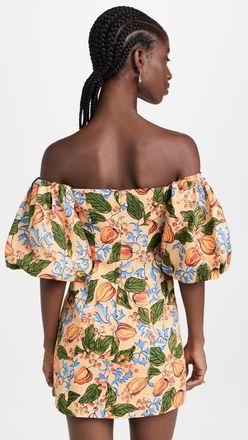 Rhode Resort Womens 100% Linen Mini Dali Dress, Capri Orchard, Orange, Floral Mini