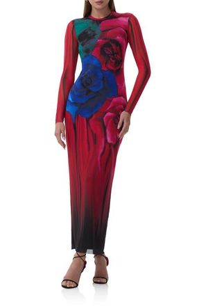 AFRM Didi Printed Long Sleeve Mesh Maxi Dress in Multi Blur Rose at Nordstrom, Size X-Small