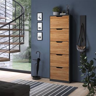 Vicco Zapatera Abatible Luca, Antracita/roble Dorado, 59 X 180.5 Cm Con 5 Compartimentos Basculantes, Vicco