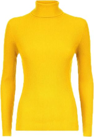 Generic Womens Long Sleeves Ribbed Turtle Polo Neck Top Available in Variety of Colors (as8, Numeric, Numeric_12, Numeric_14, Regular, Regular, Mustard, 12-14