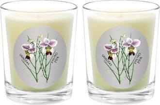 Qualitas Wild Orchid Two Scented Beeswax Candle Set
