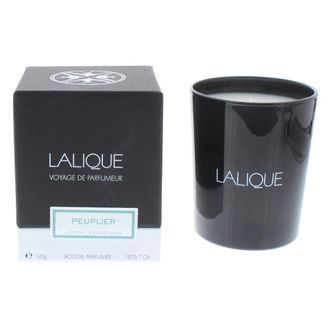 TJ Hughes Lalique Peuplier Aspen Etats-Unis Candle 190g - TJ Hughes
