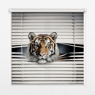 Tulup Tenda A Rullo Interna Per Finestra - Tenda Filtrante Luce - Tenda Privacy - Tenda Decorativa Rettangolare - Rullo Per Interni - (140 Cm X 140 Cm) - Ti